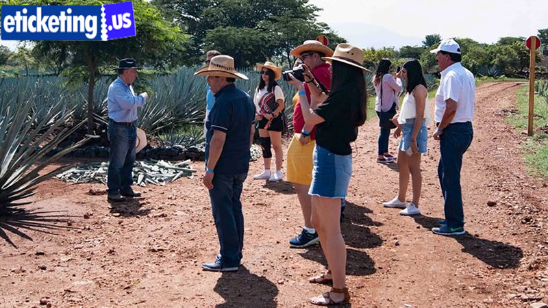 Buy FIFA World Cup Tickets | FIFA 2026 Tickets